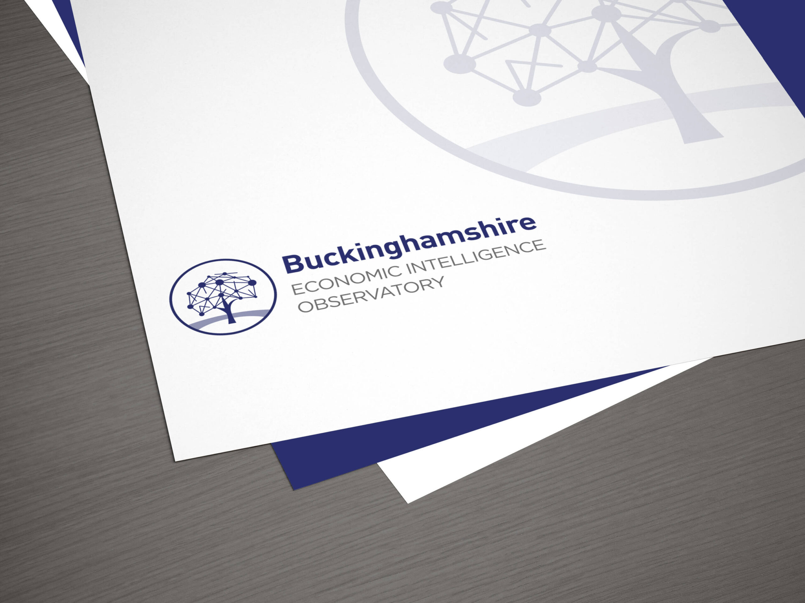 Buckinghamshire Economic Intelligence Observatory Logo Design 03 Buckinghamshire Economic Intelligence Observatory Logo Design 03