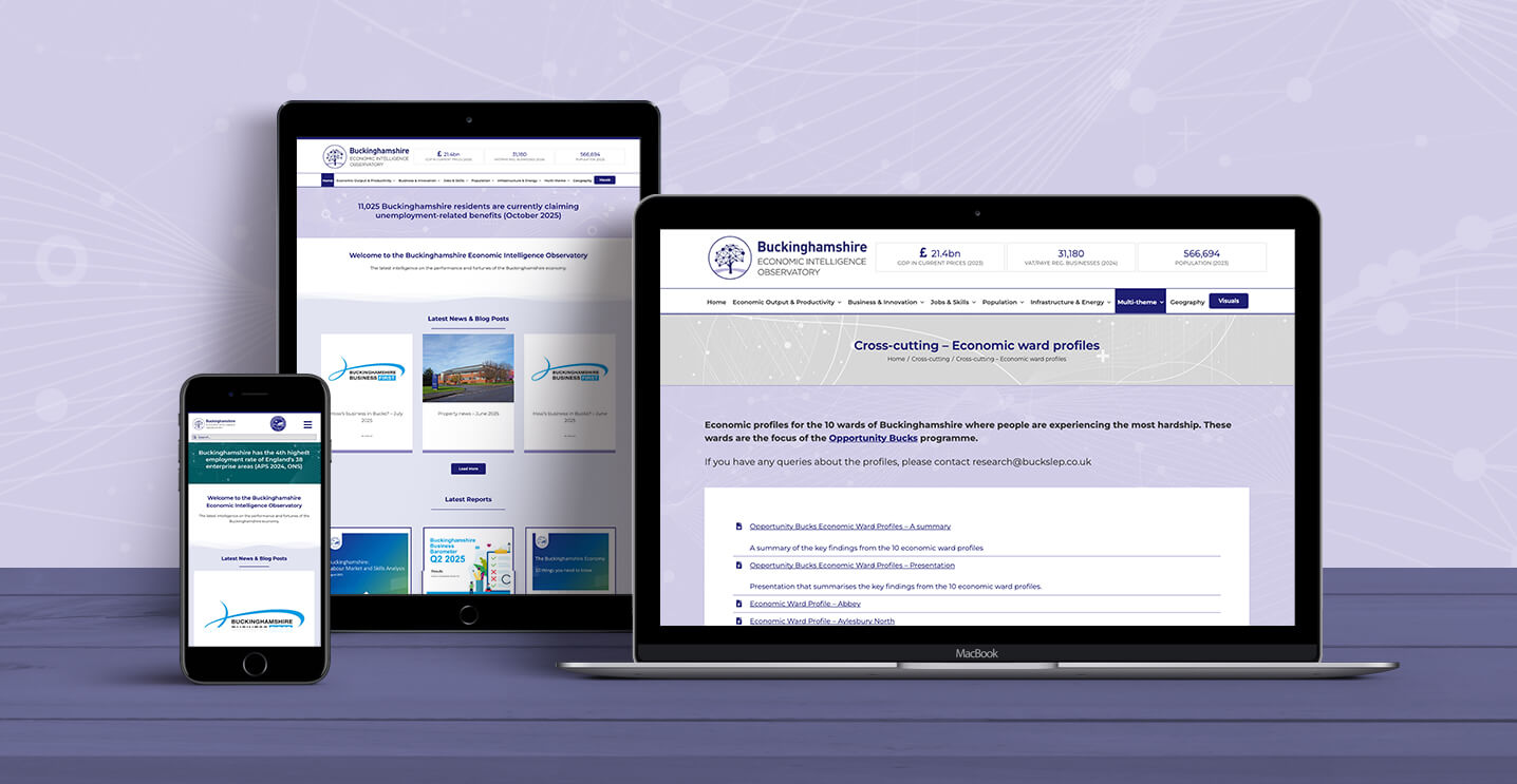 Buckinghamshire Economic Intelligence Observatory Website Design Header 0